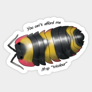 M.sp "tricolour" cant afford me Sticker